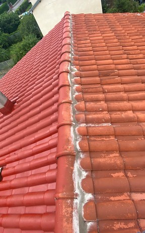 Revêtement de toiture coloré et étanche à Toulouse
