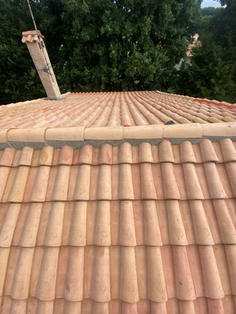 Nettoyage de toiture Toulouse