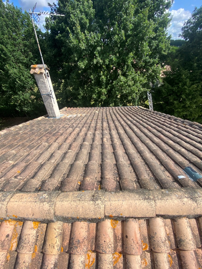 nettoyage de toiture Toulouse